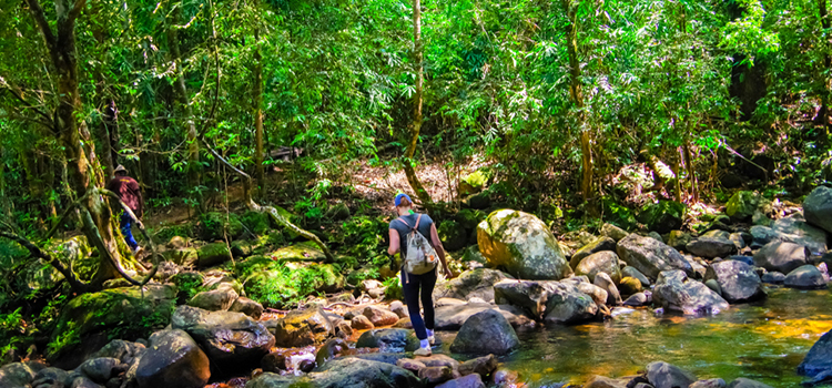 sri lanka itineraries sinharaja rain forest